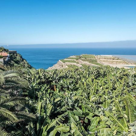 Finca Alejandrina La Guancha Zewnętrze zdjęcie